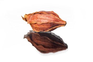 微软《极限竞速：地平线4》将于12月下架